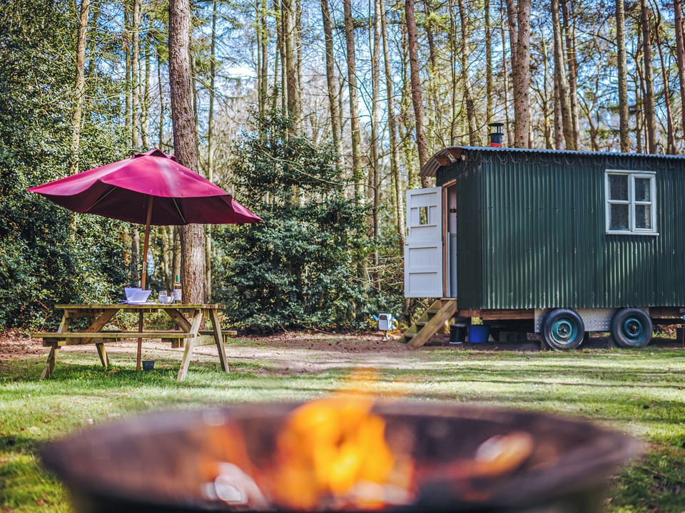 Outdoor area | Honeysuckle Hut - Rosslyn Glamping, Melton Constable