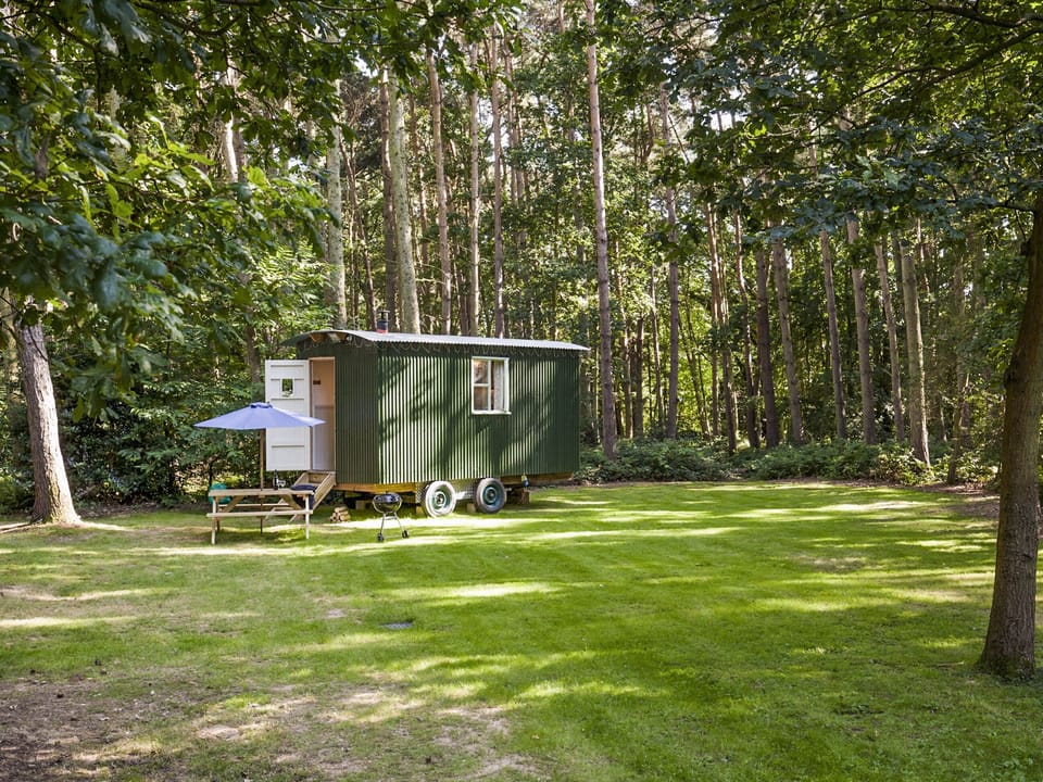 Outdoor area | Honeysuckle Hut - Rosslyn Glamping, Melton Constable