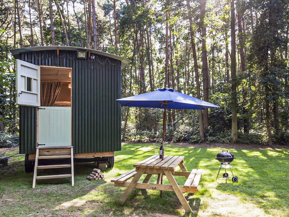 Outdoor area | Honeysuckle Hut - Rosslyn Glamping, Melton Constable