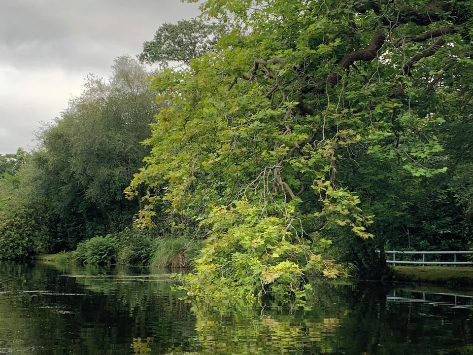 The Castleman Trailway running alongside The River Avon | Lilypad, Ringwood