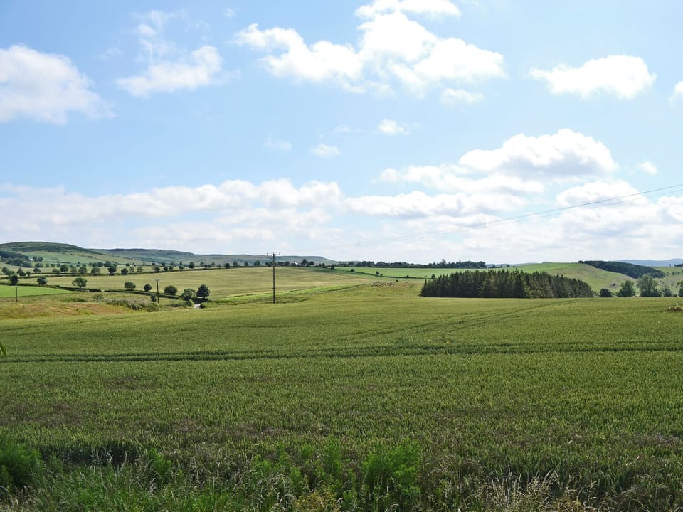 View | Aidan Cottage, near Chatton, Wooler and Alnwick