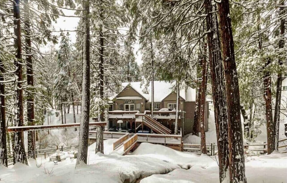 Large enclosed backyard with tons of nature to explore!