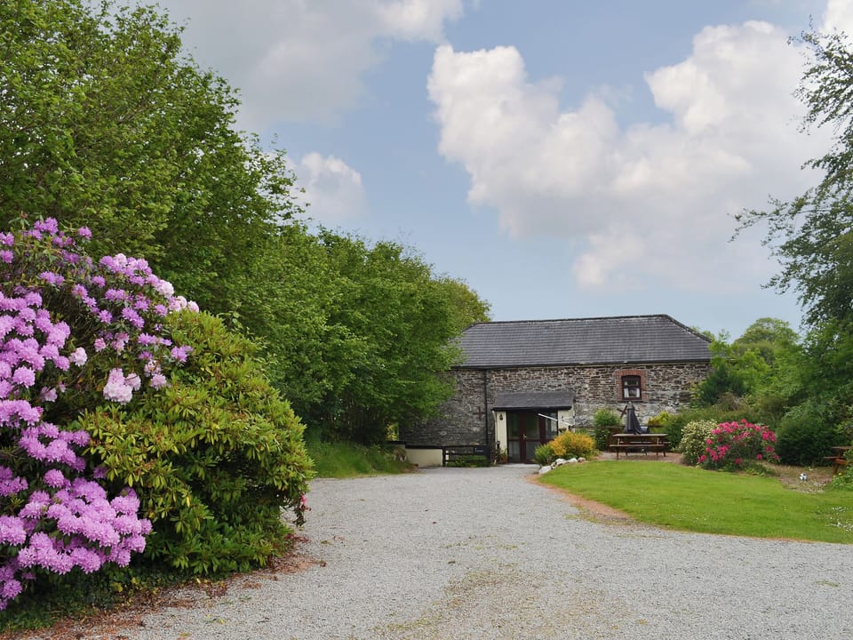 Rhododendron-lined driveway | Fennel - Sherrill Farm Holiday Cottages, Dunterton, near Tavistock