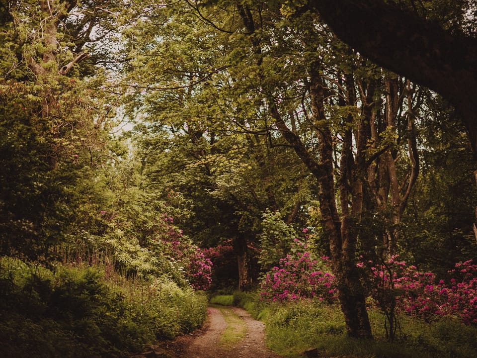 Garden and grounds | Fawn&rsquo;s Velvet - Dunskey Estate, Portpatrick, near Stranraer