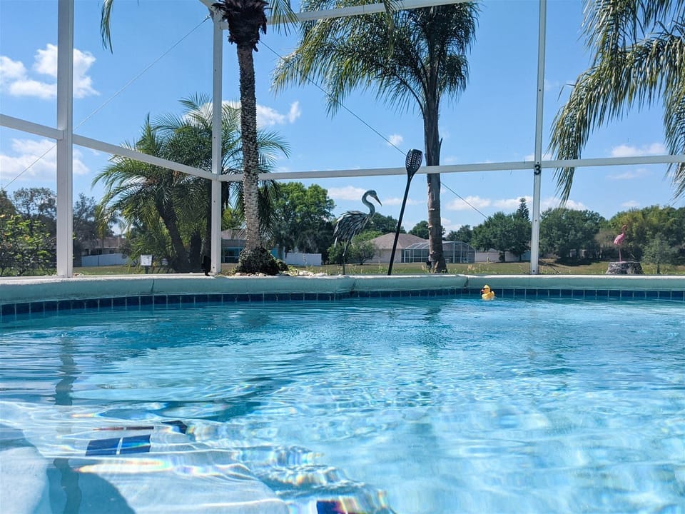 Your Own Private Oasis
