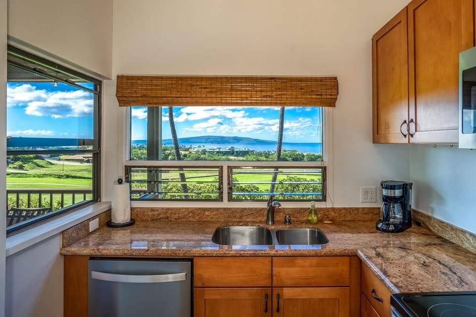 Loading the Dishwasher is even fun with this view