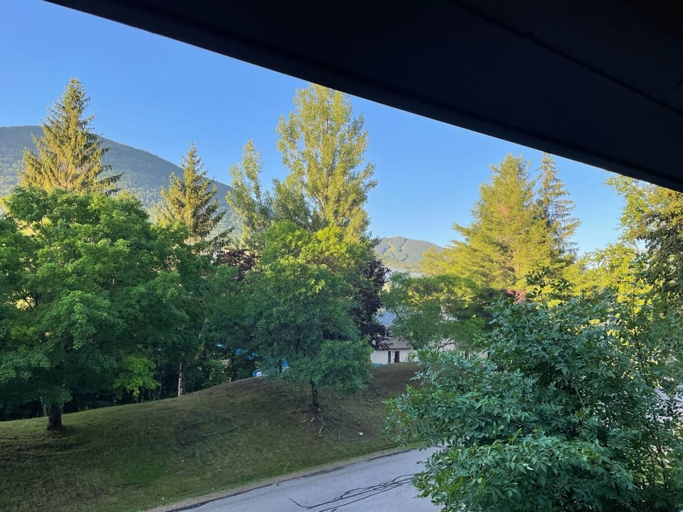 View of Loon