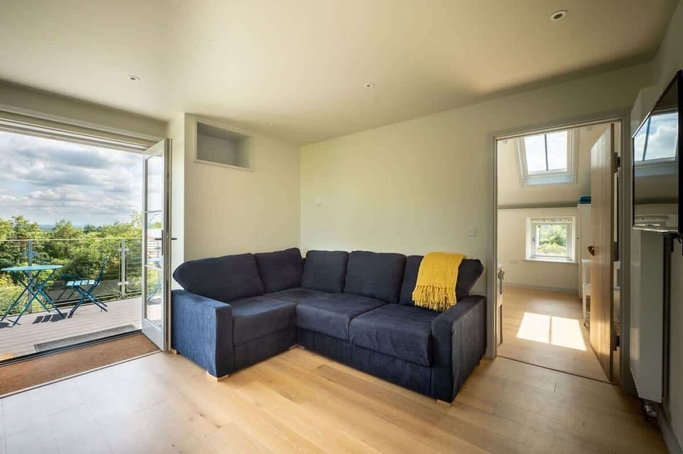 Living area with sofa bed