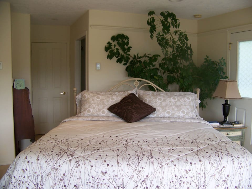 Deluxe Studio Suite, 1 King Bed, Kitchenette (Hummingbird Suite) | Premium bedding, memory foam beds, free WiFi