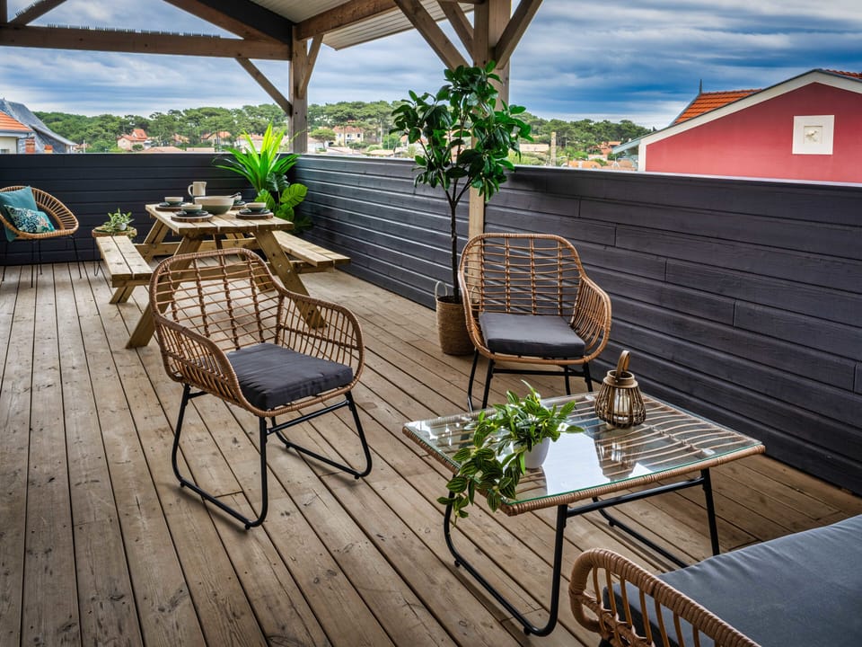 terrace view pine forest