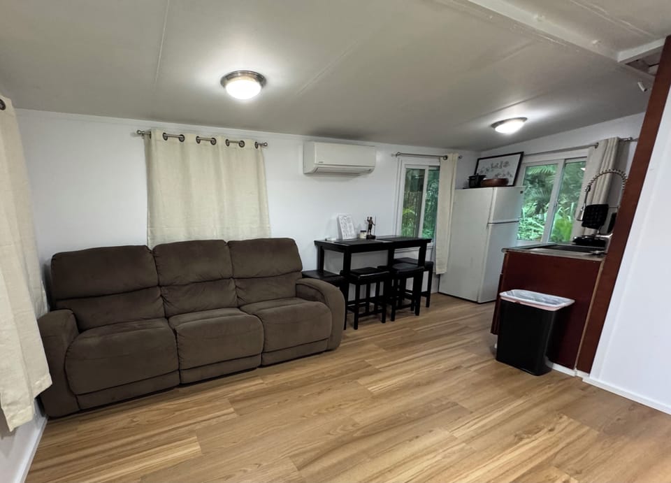 Comfortable couch,Very cool Split AC system, half kitchen,dining area,Quickguide