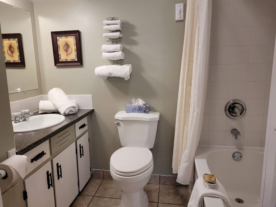 Room 2 McKenzie | Bathroom | Hair dryer
