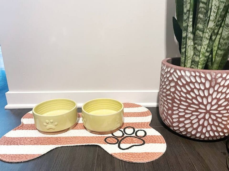 A welcoming space for your furry friend 🐾💛