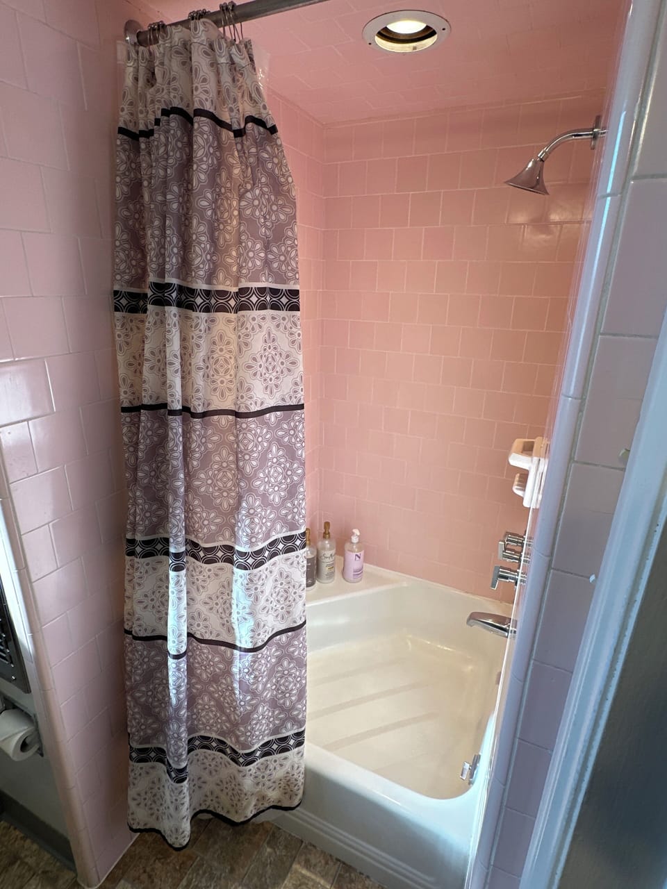 Shower with funky almost-tub, LOL. 