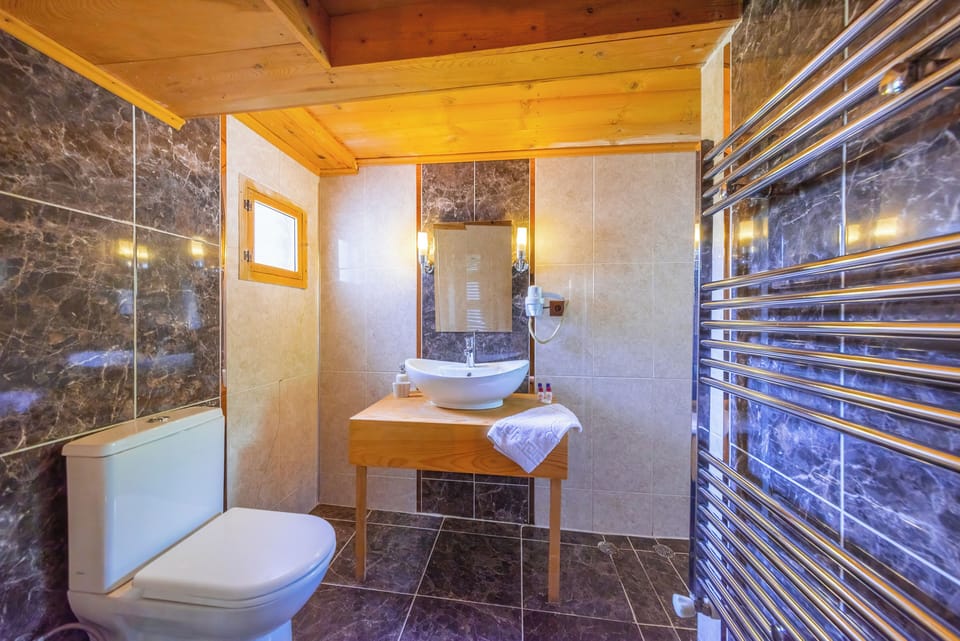 Standard Double or Twin Room | Bathroom | Shower, hair dryer, towels, soap