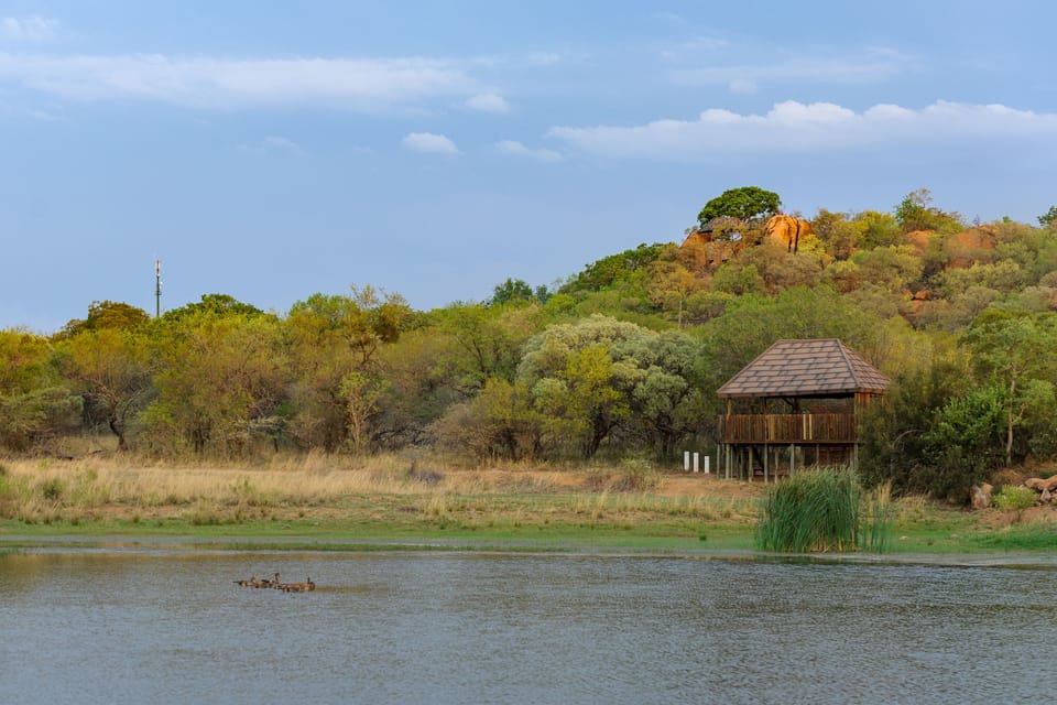 Game viewing