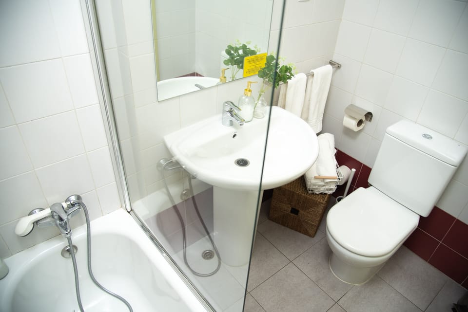 Basic Twin Room, 2 Twin Beds | Bathroom | Bathtub, hair dryer, towels, soap