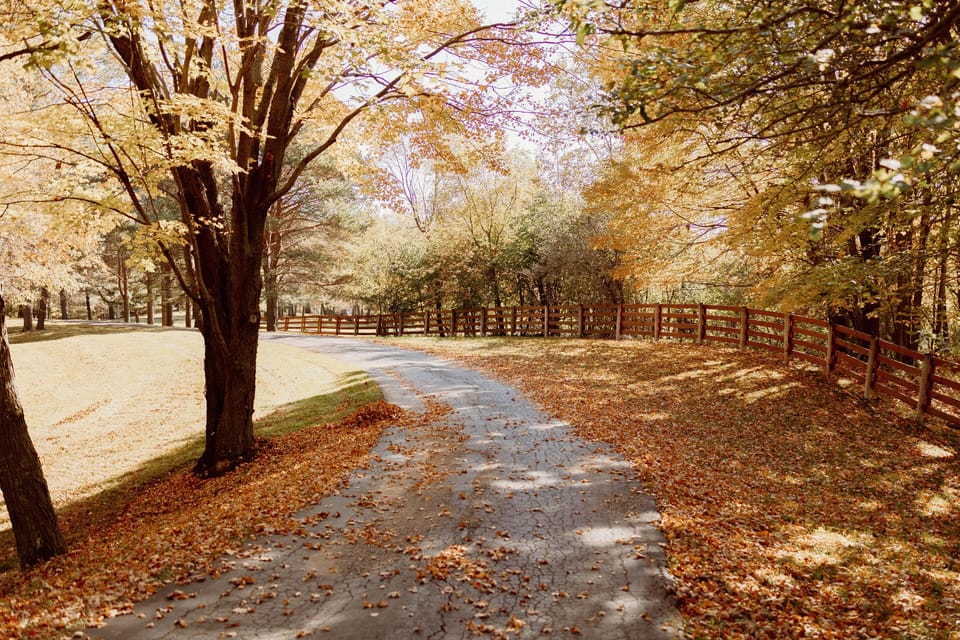 Quarter mile long picturesque driveway