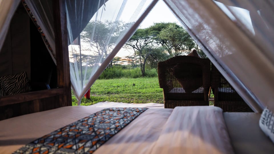 Comfort Double Room | Terrace/patio