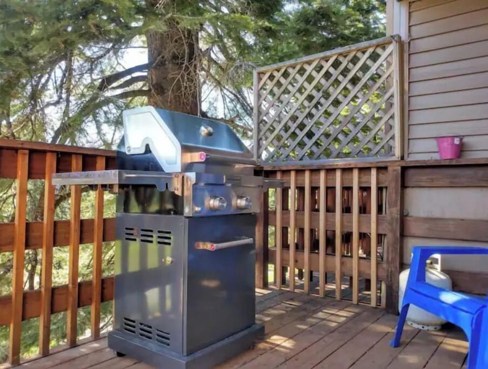 Propane barbecue on deck outside kitchen
