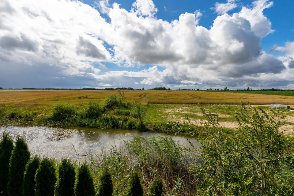 The building's surroundings. 