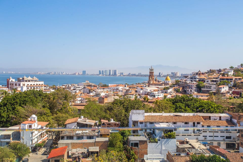 You can see the Guadalupe's church from the rooftop