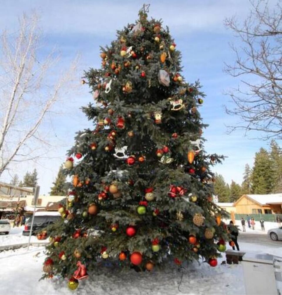 A tree that brings you hope and joy