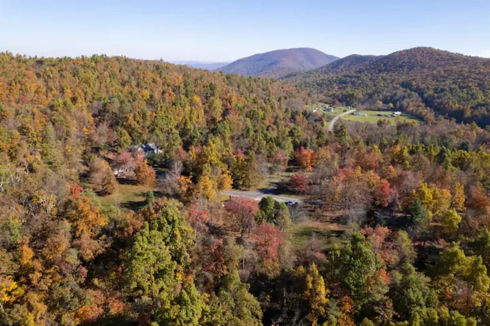 e8c045a1-f003-4f56-ab19-b51675404e47