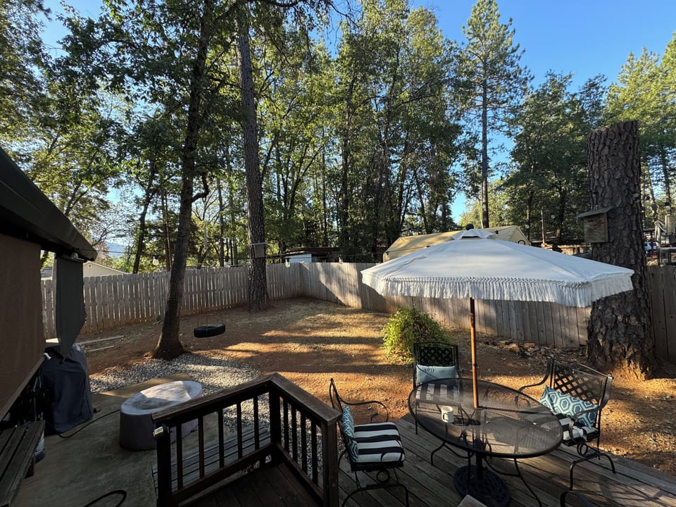 Back yard