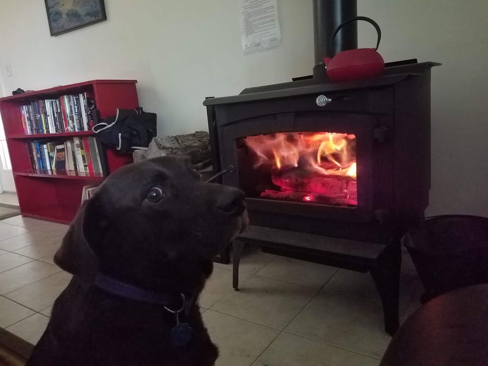 Puppies like to sit by the fire too!