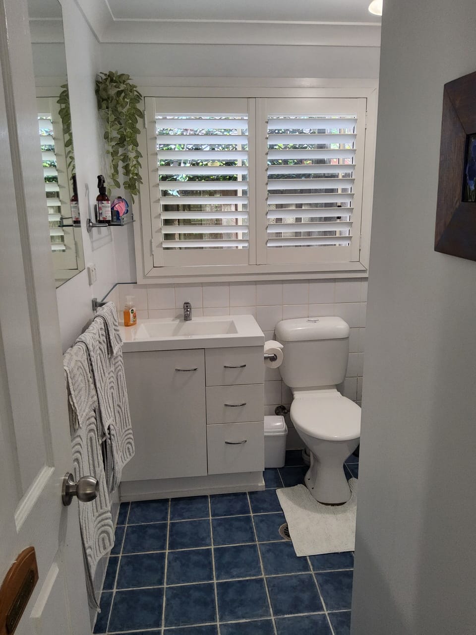 Bathroom/shower/toilet/vanity