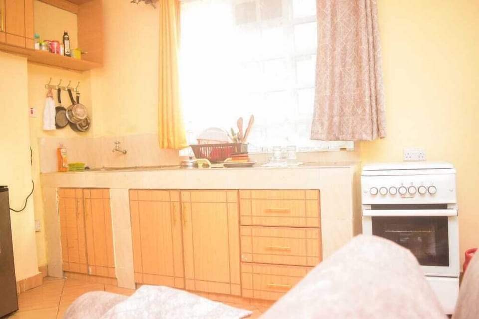 Business Apartment | Private kitchen | Fridge, microwave, blender, cookware/dishes/utensils