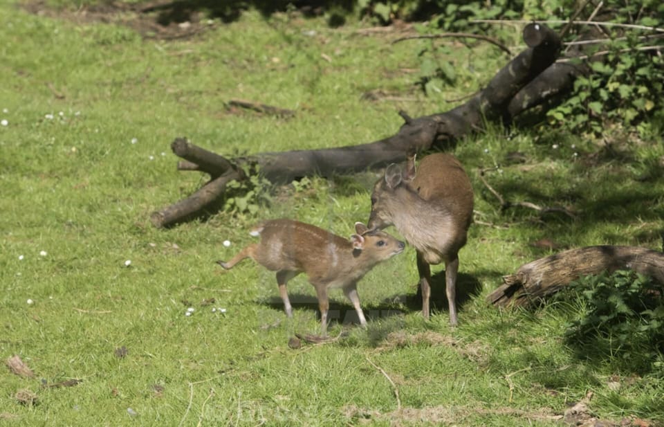 Cabin | Miscellaneous