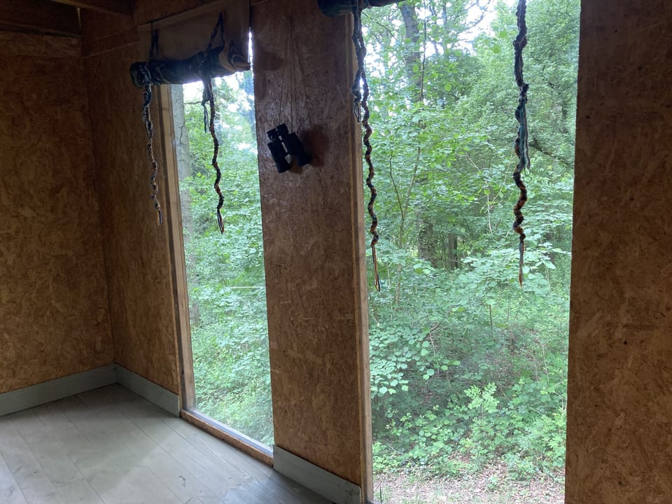 Cabin | Interior