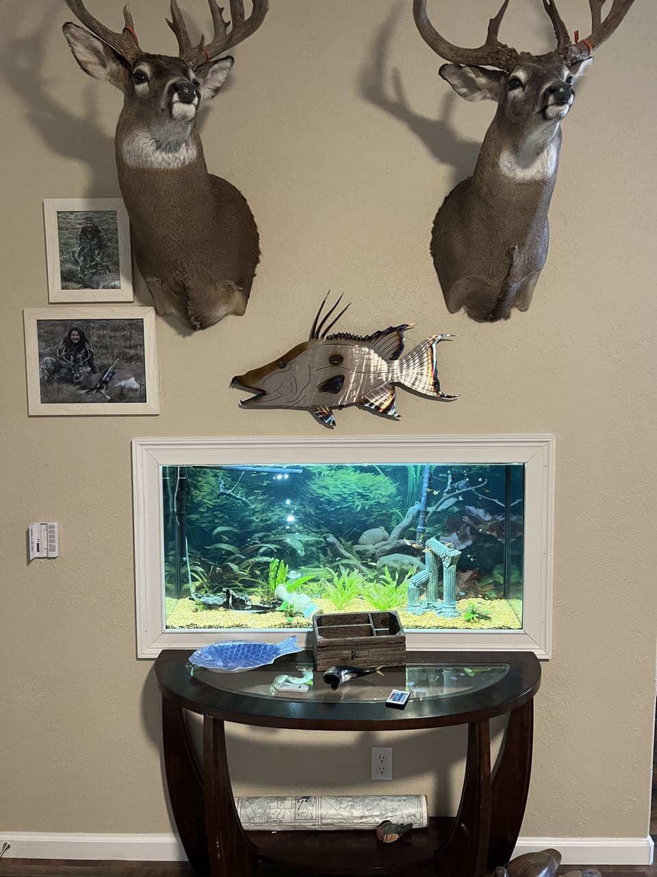 In wall 60 gallon freshwater aquarium