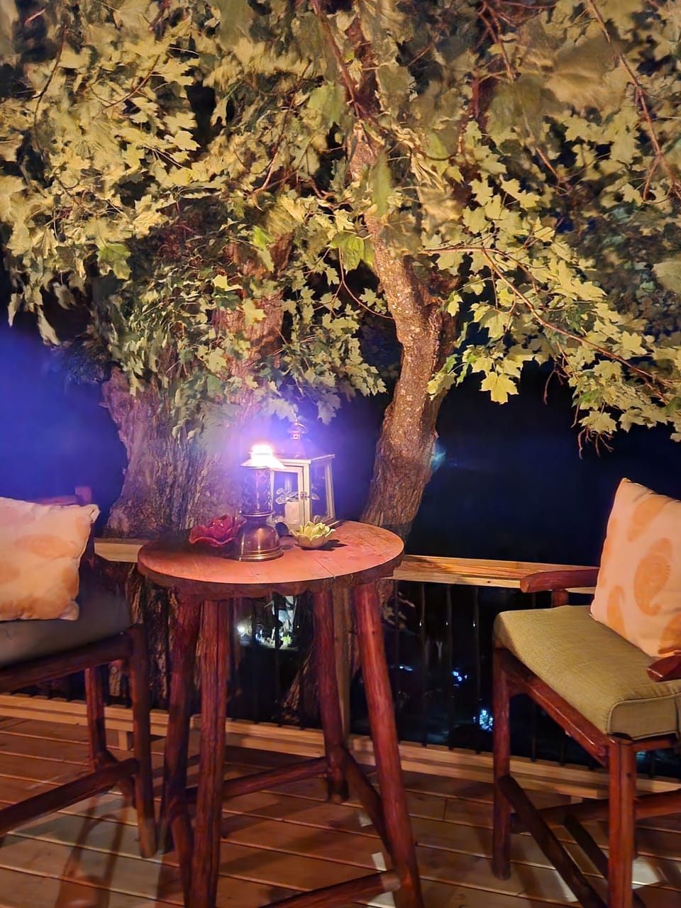 evening on the deck