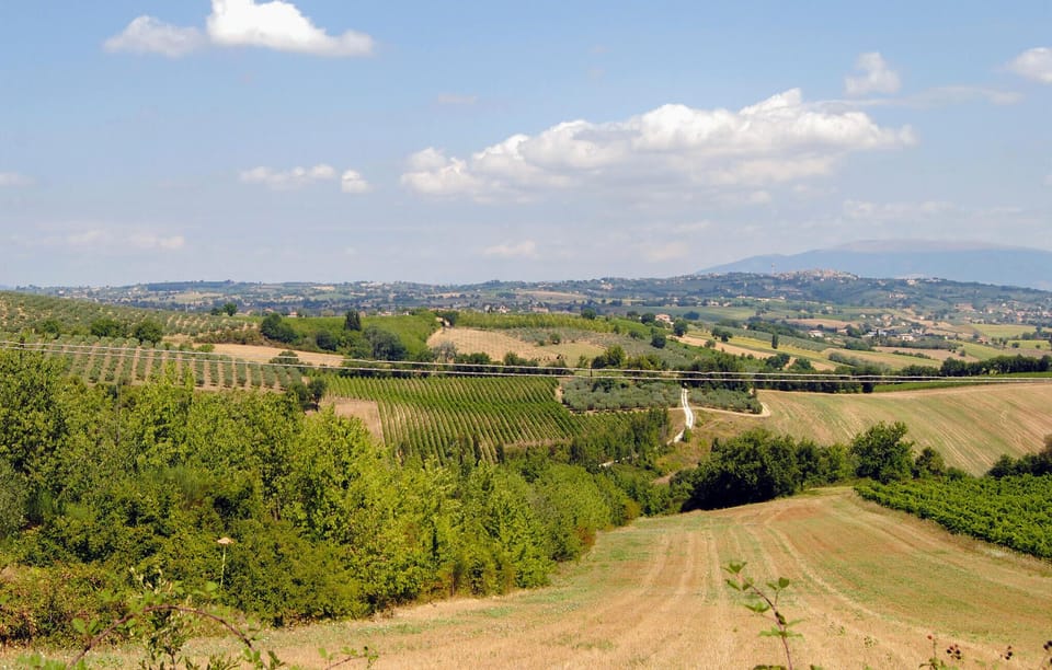 area