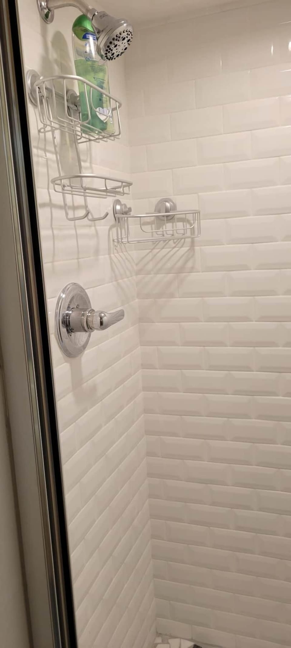 Master bathroom tile shower