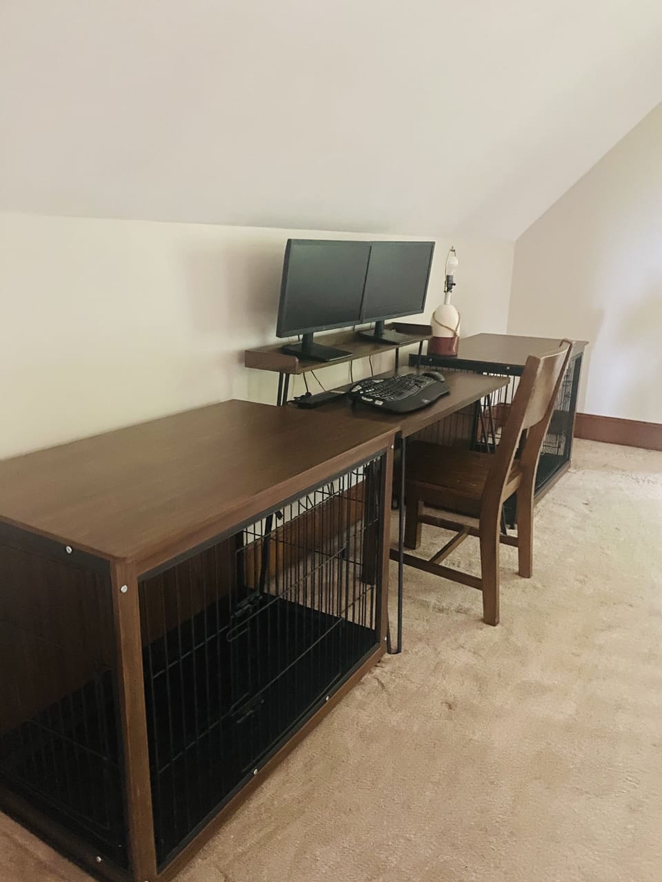 Workspace along with dog crates