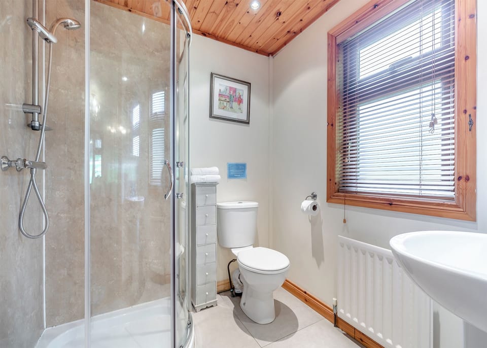 Shower, Bathroom, Toilet, House