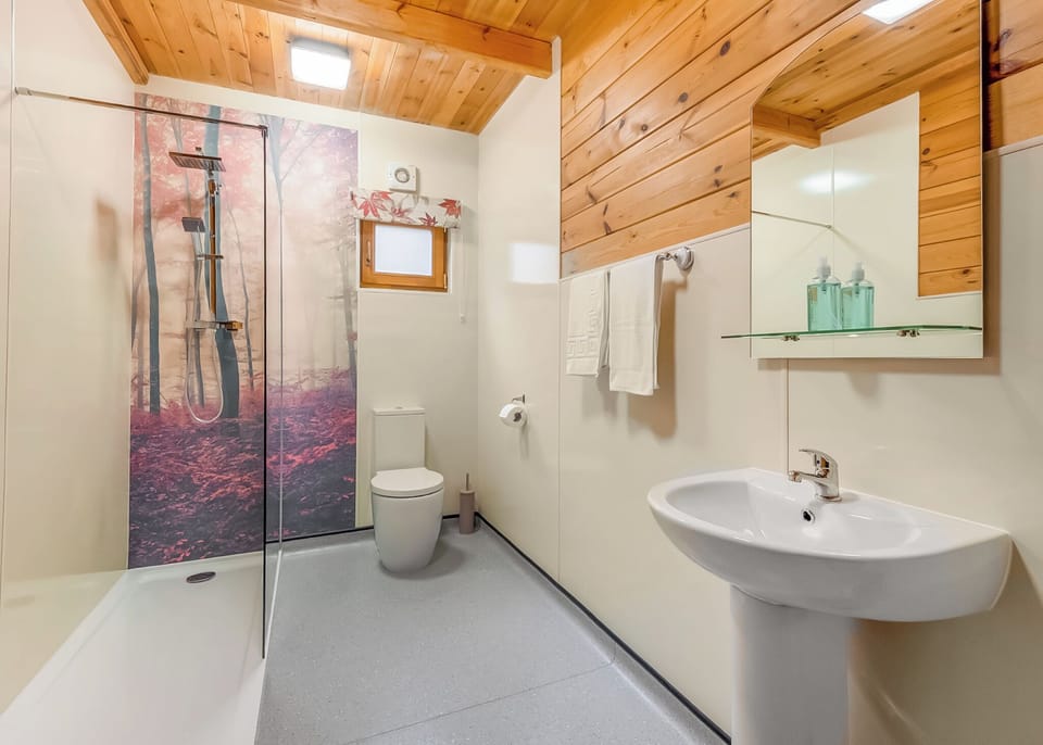 Bathroom, Shower, Toilet, House