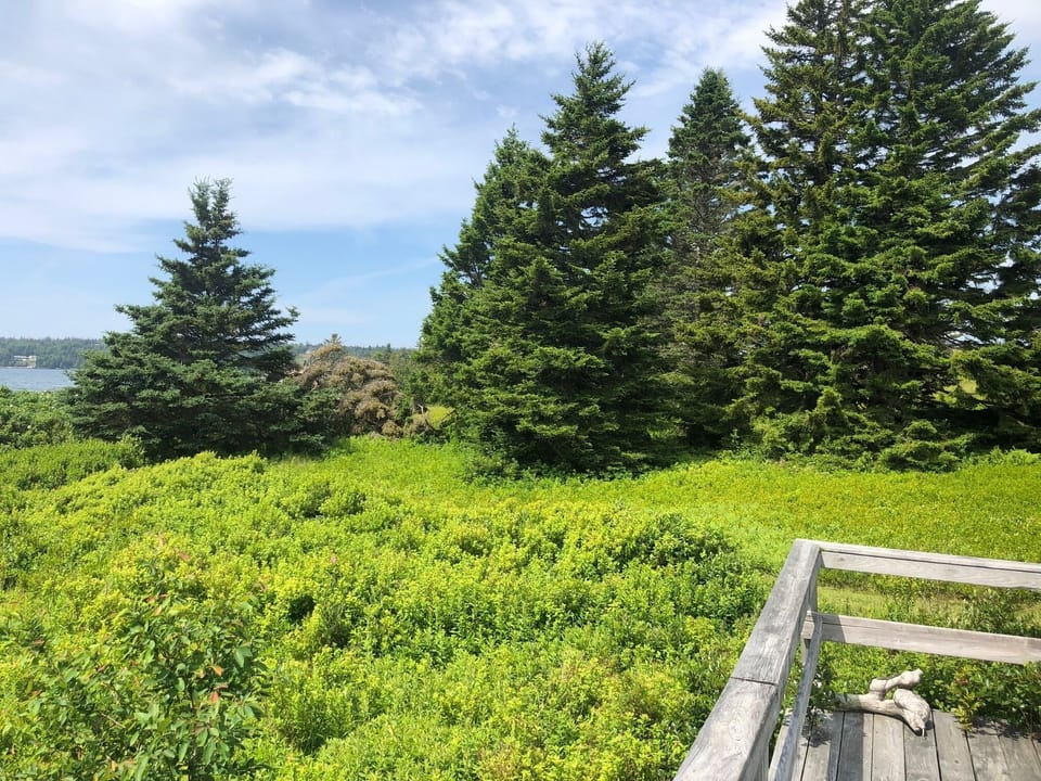View from property