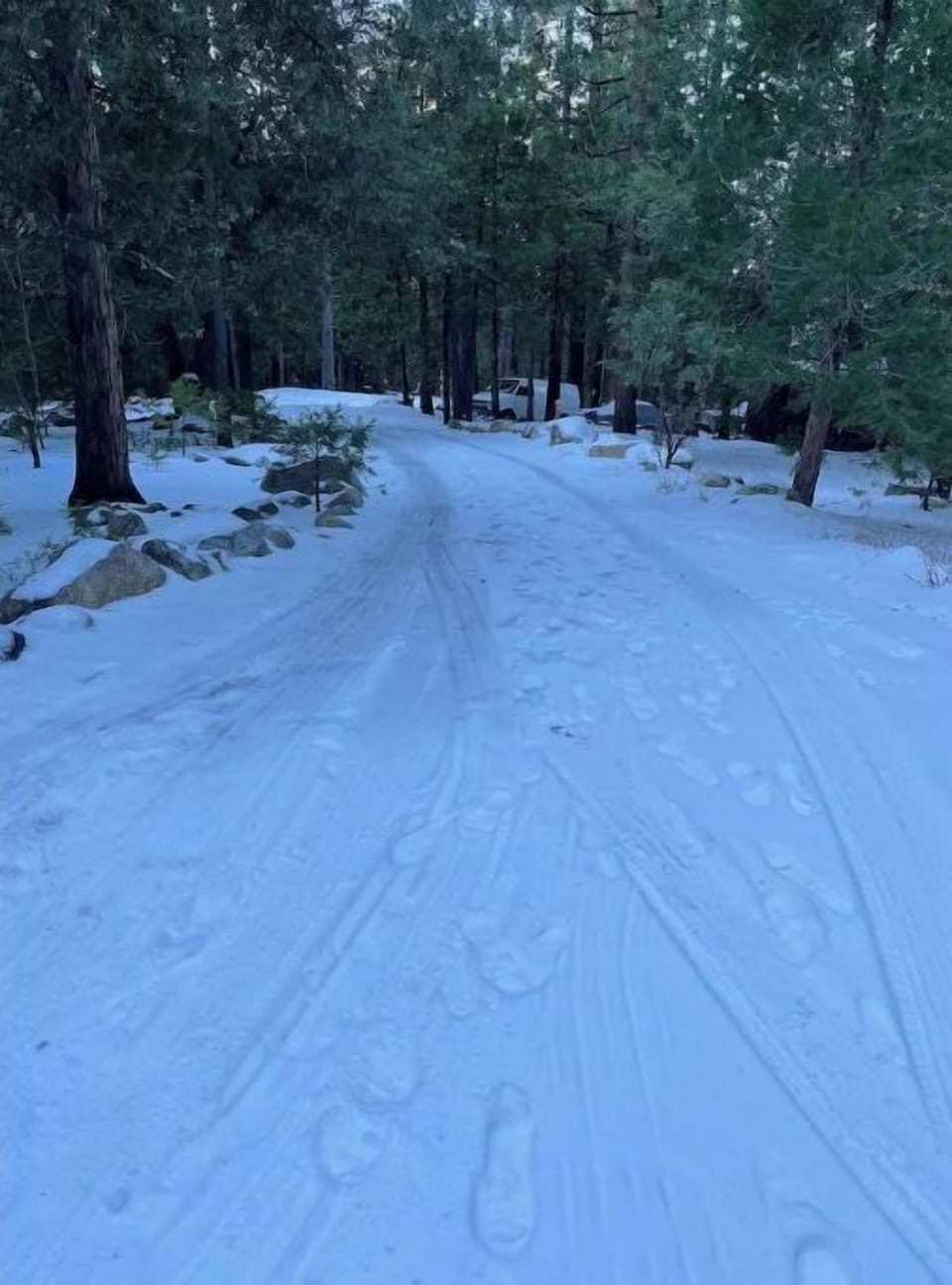 Snow and ski sports