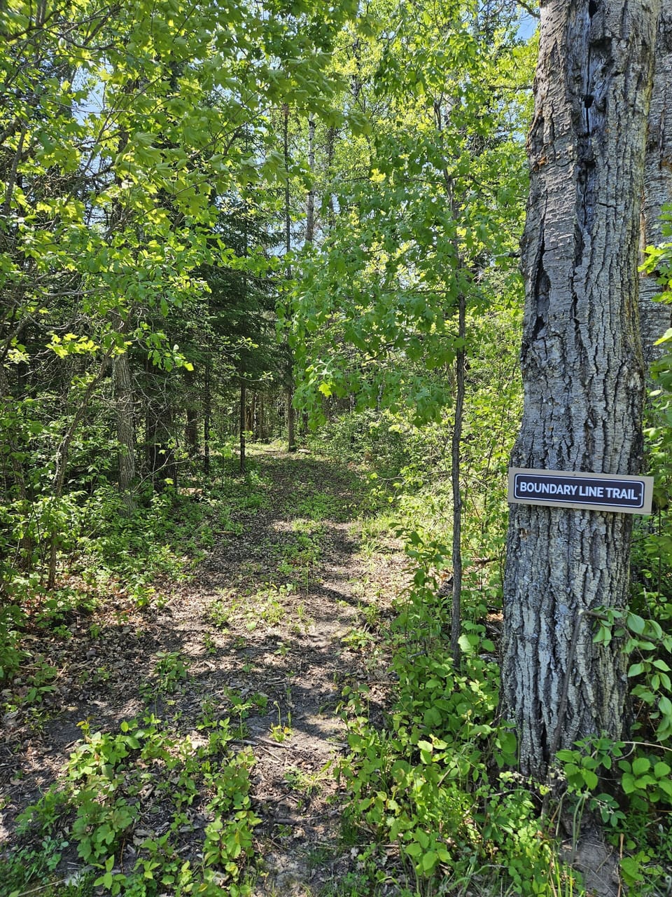 Connect with nature on our trails! 