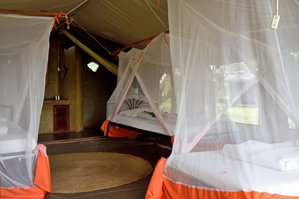 Deluxe Tent | Iron/ironing board, free WiFi, bed sheets