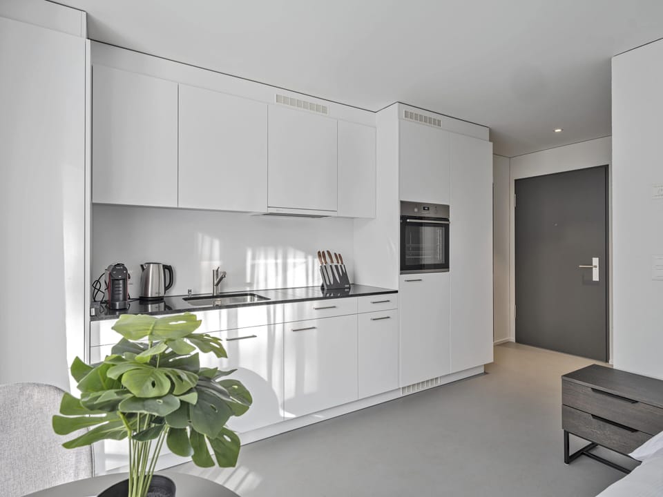 Basic Apartment | Private kitchen | Fridge, oven, stovetop, dishwasher