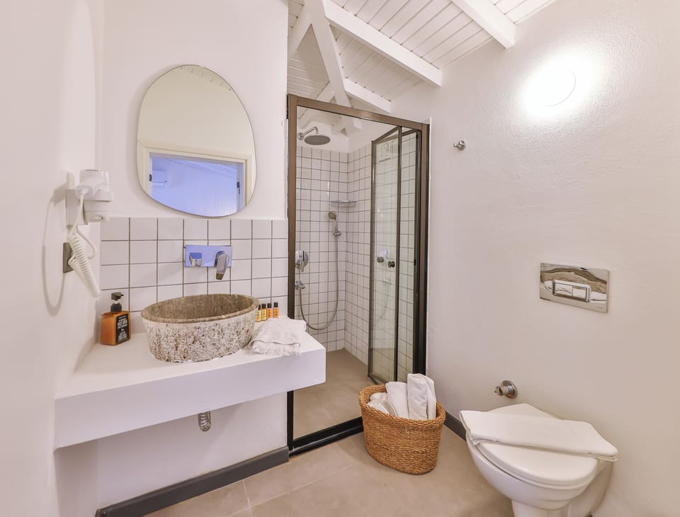 Deluxe Pool Room | Bathroom | Shower, rainfall showerhead, free toiletries, hair dryer