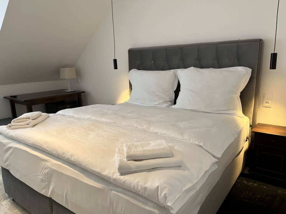 Room | 1 bedroom, desk, laptop workspace, iron/ironing board (on request)