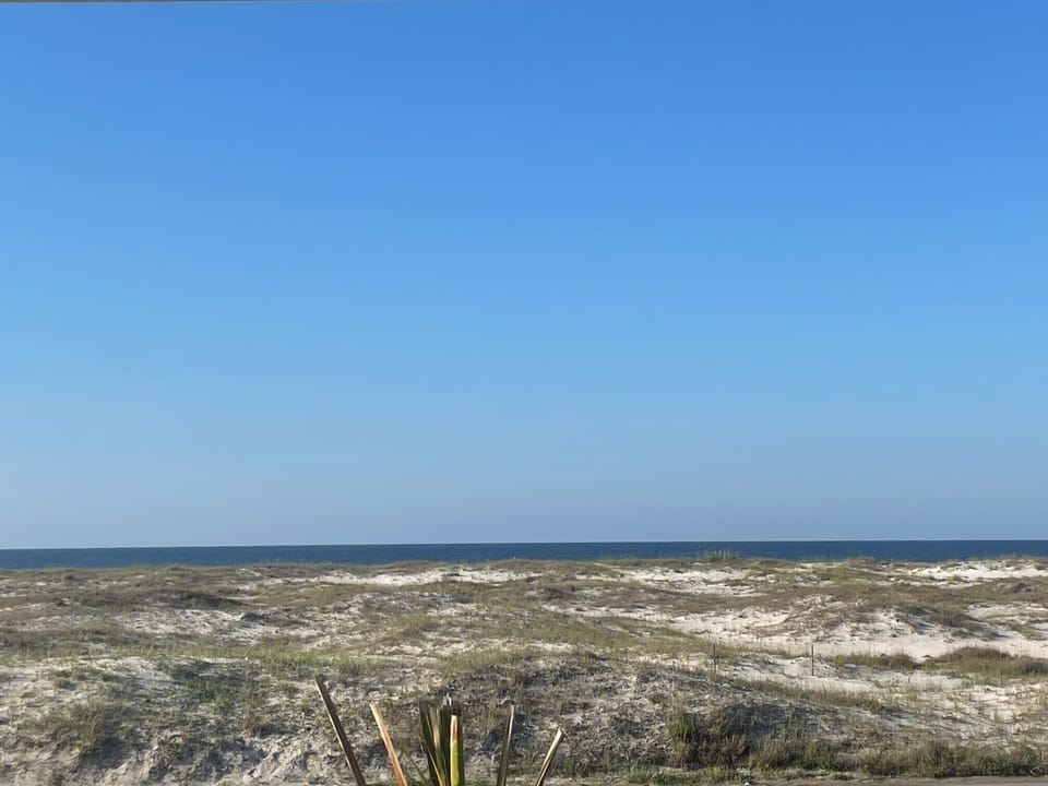 Gulf of Mexico View