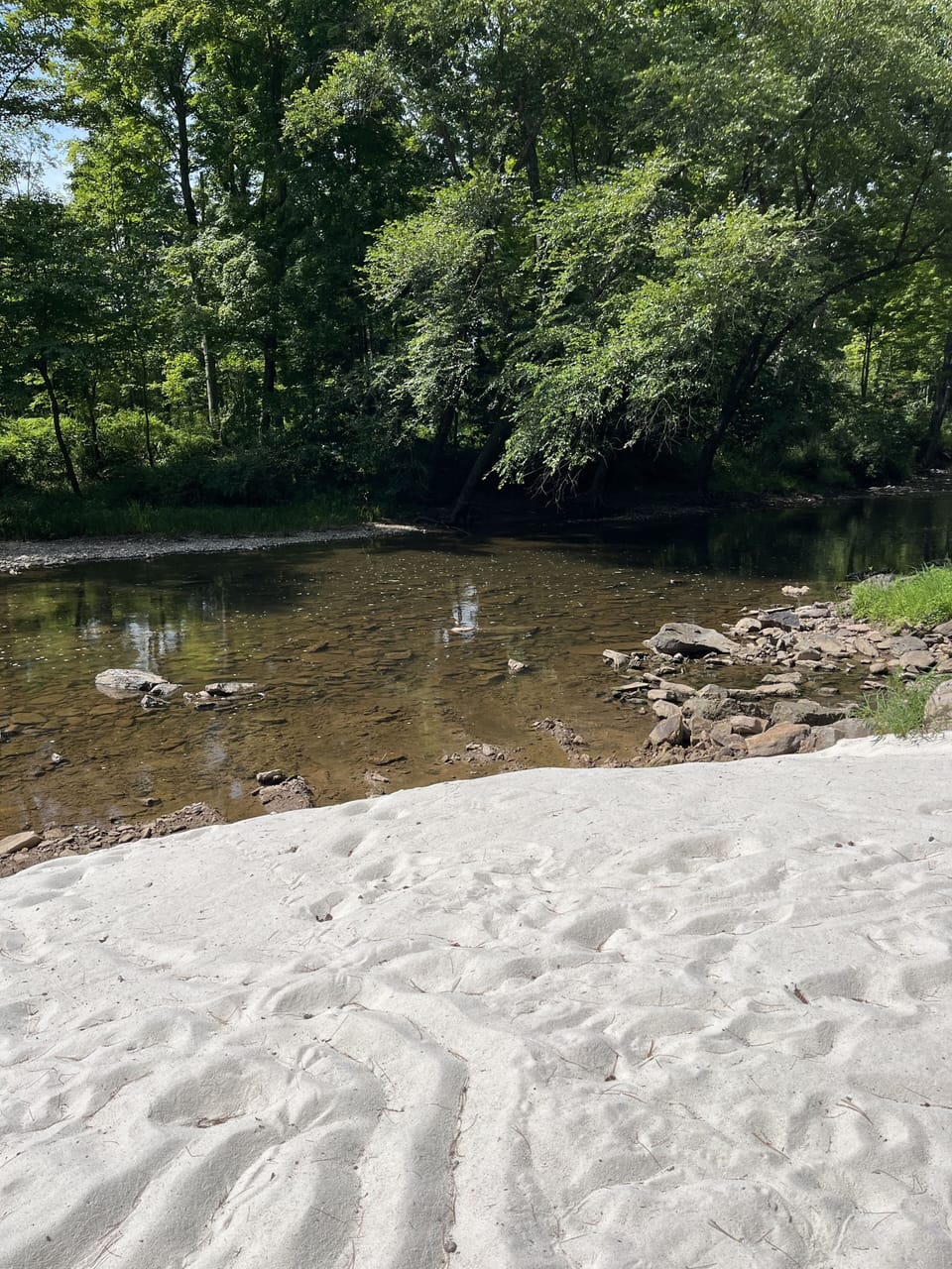 Beach area 